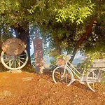 Apartment Antico Leccio Orange *