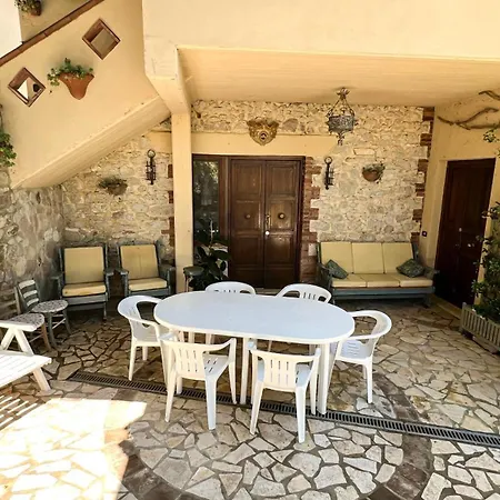 Antico Leccio Orange *