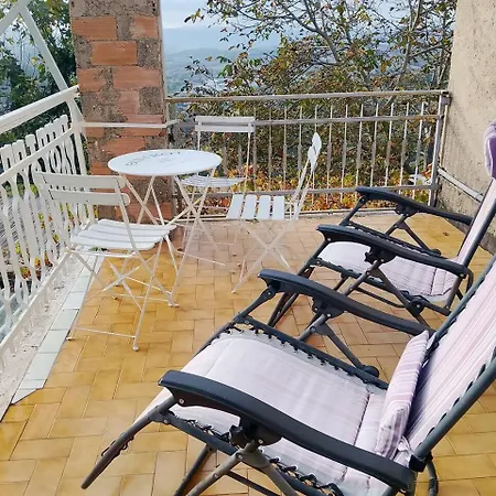 Antico Leccio Orange * Coppe