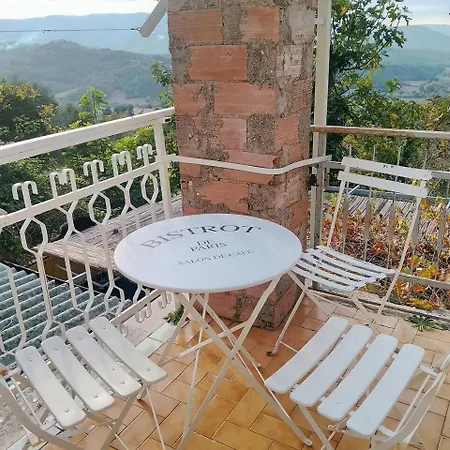 Antico Leccio Orange * Coppe