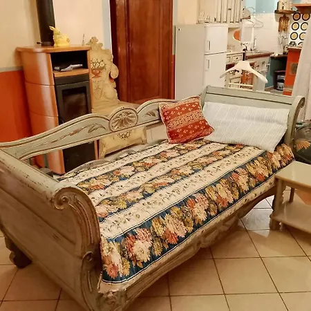 Antico Leccio Orange Coppe