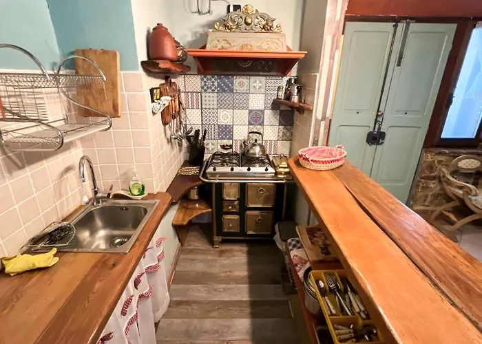 Antico Leccio Orange *