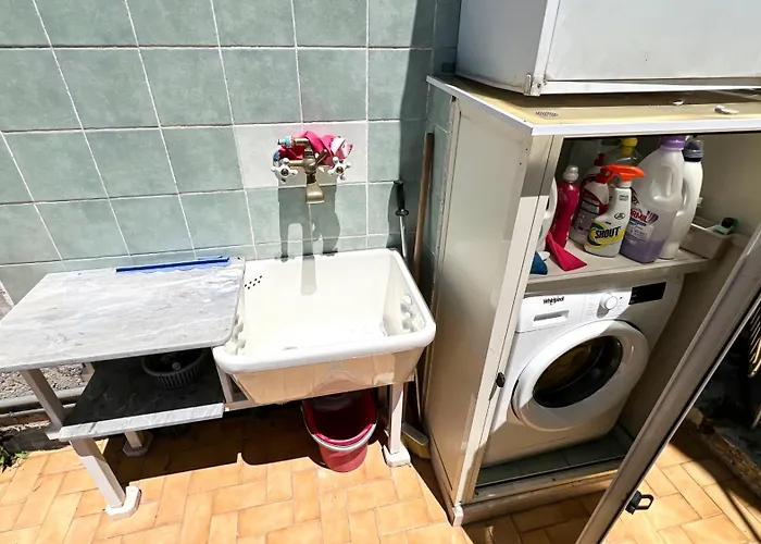 Antico Leccio Orange * Coppe