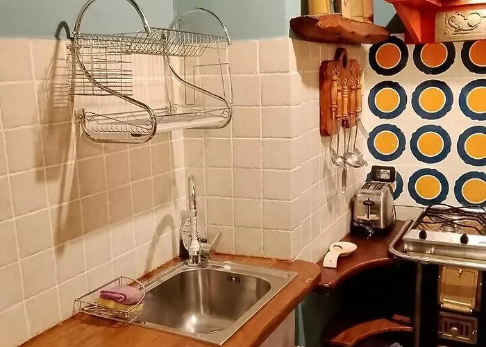 Antico Leccio Orange * Coppe