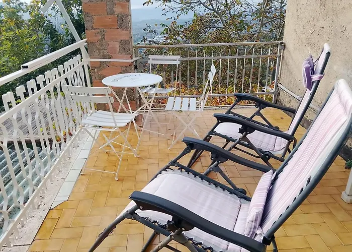 Antico Leccio Orange * Coppe