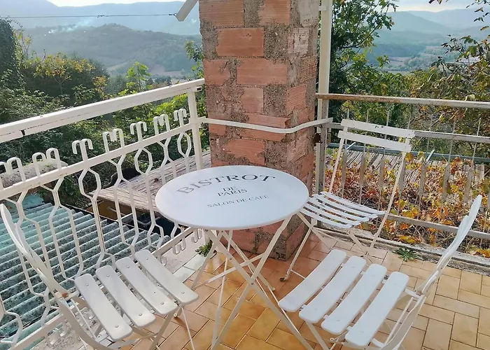 Antico Leccio Orange * Coppe